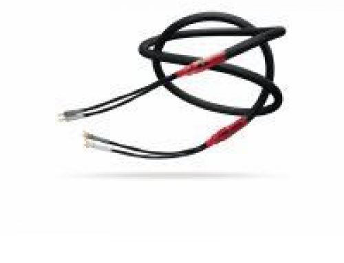 Introducing the New Congruence³ Speaker Cables